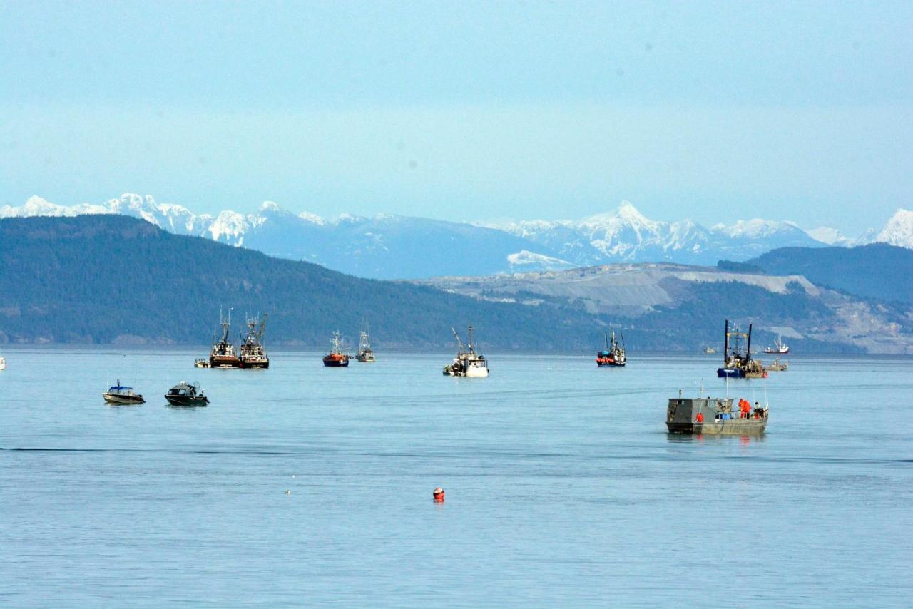 Oceanfront Paradise Comox Bagian luar foto