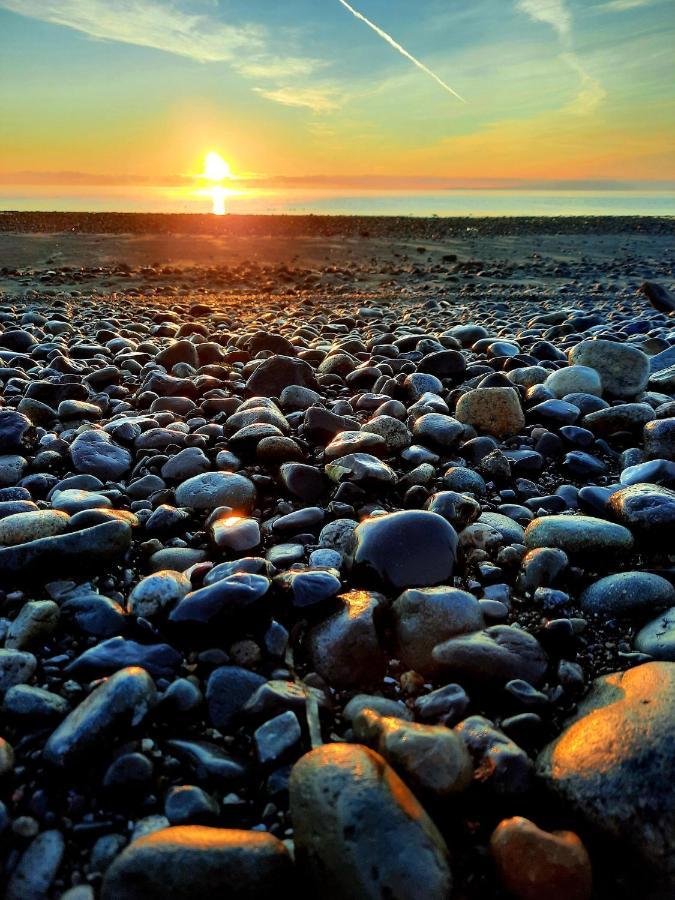 Oceanfront Paradise Comox Bagian luar foto