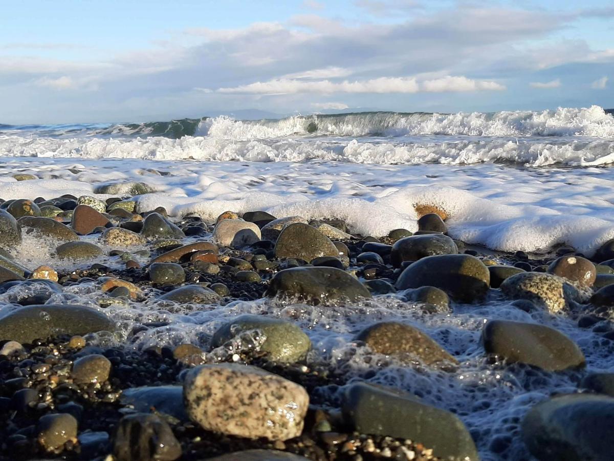 Oceanfront Paradise Comox Bagian luar foto