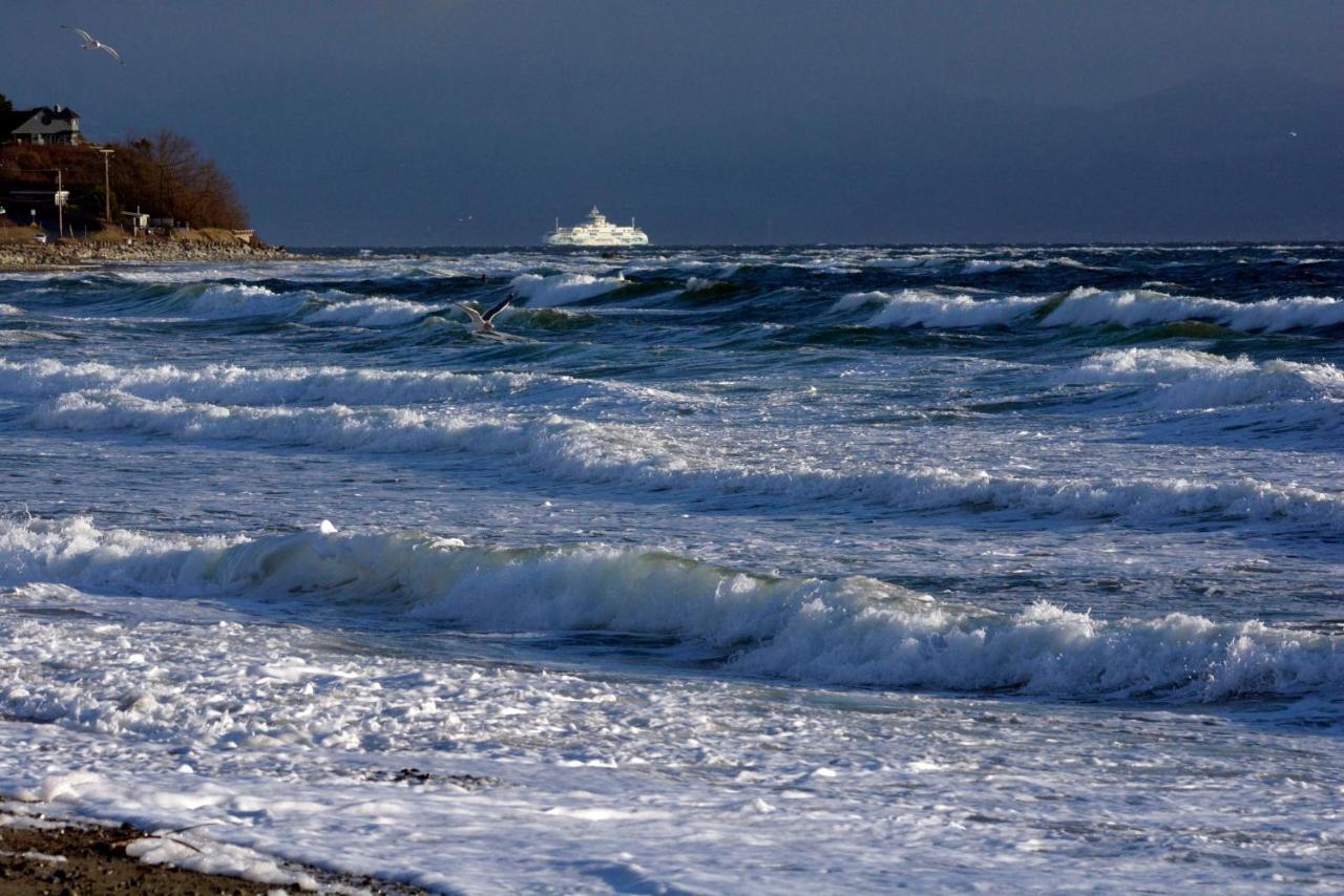 Oceanfront Paradise Comox Bagian luar foto